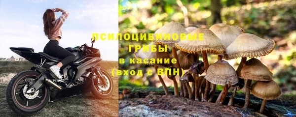 не бодяженный Алзамай